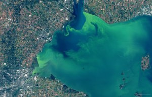 lake-view-Artboard_1